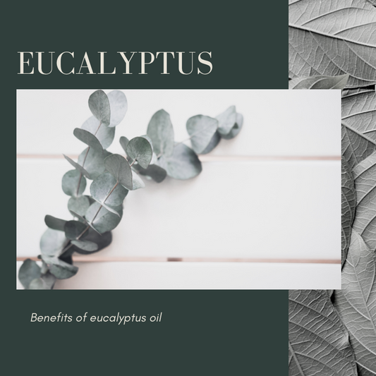 Eucalyptus oil benefits